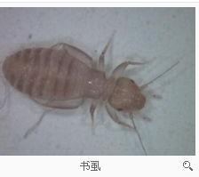 游戏专题 第99页