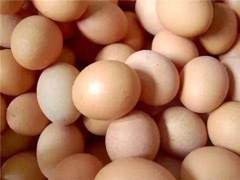 娱乐生活 第91页