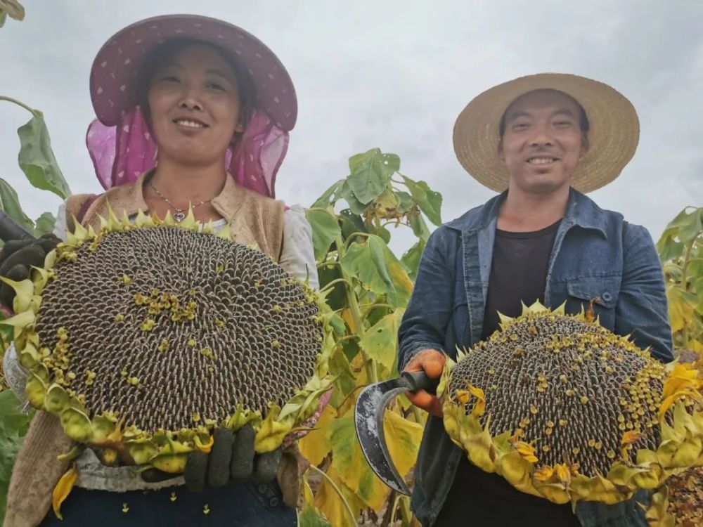 热点生活 第86页