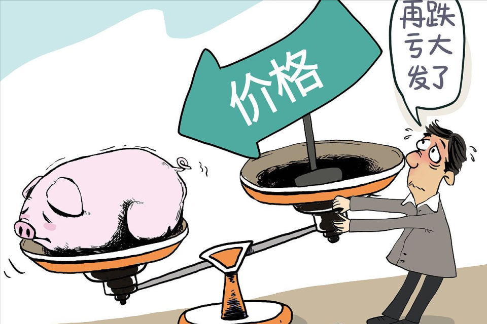 地方新闻 第81页