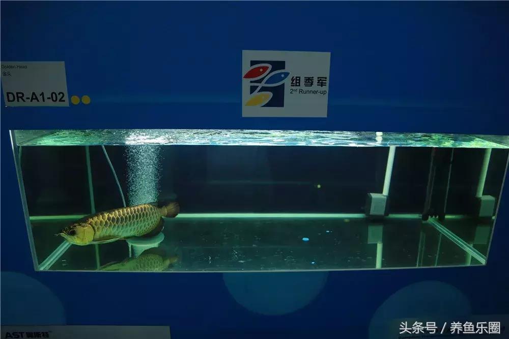 游戏专题 第18页